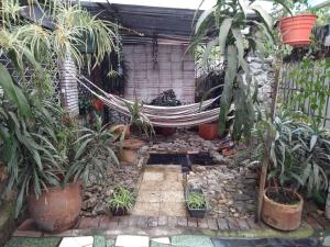 Zahrada ubytování Casa Viva apartaestudio terraza II