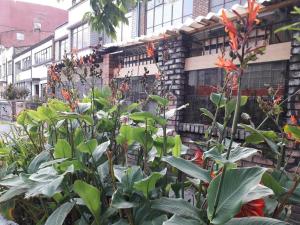 Zahrada ubytování Casa Viva apartaestudio terraza II