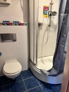 a bathroom with a shower with a toilet and a sink at Casa Cielo in Duisburg +8 photos