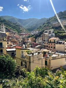 a view of a city with buildings and mountains at Casa Camilla in Riomaggiore