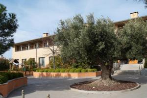 Zahrada ubytování Hotel Alhama