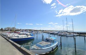 a bunch of boats docked in a harbor at Kysthusene, Lejl 7 in Slagelse