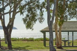 汤斯维尔BIG4 Tasman Holiday Parks - Rowes Bay的水边的公园,有长凳和树木