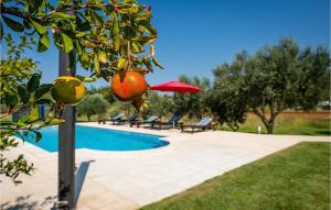 Bazén v ubytovaní Holiday Home Orihi I alebo v jeho blízkosti