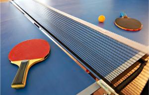 Stolný tenis v ubytovaní Holiday Home Orihi I alebo v jeho okolí