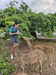 Altri animali domestici presso l'hotel o nei dintorni