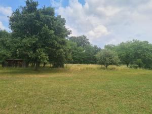 an open field with trees in the background at Šuma za odmor in Mladenovac