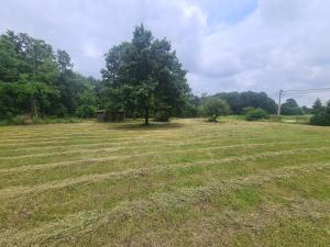 Un paisaje natural cerca del camping