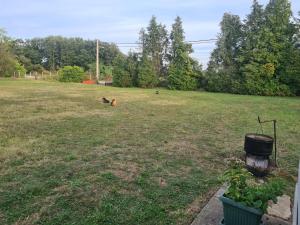 Foto dalla galleria di Šuma za odmor a Mladenovac