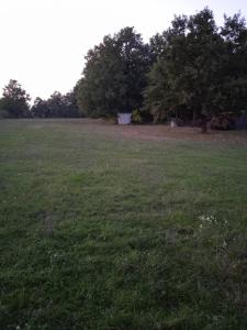 Foto dalla galleria di Šuma za odmor a Mladenovac Altre 3 foto