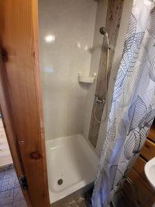 a bathroom with a shower with a shower curtain at Sodyba "Vytauto kaimas" Aukštadvaris in Aukštadvaris