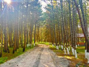 Φωτογραφία από το άλμπουμ του Milenium magic villas on Sevan beach σε Sevan +52 φωτογραφίες