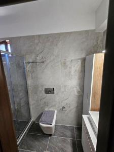 ein Badezimmer mit Dusche und Toilette in der Unterkunft Sani Pinecone Villa 3 in Sani Beach