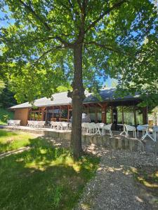 a tree in front of a building with tables and chairs at The Grand Prestige Igloo in Gura Teghii