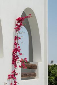 A garden outside Strogili Hotel - Adults Only