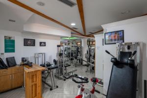 Fitness centrum a/nebo fitness zařízení v ubytování Hotel Castle