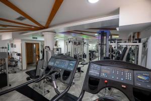Fitness centrum a/nebo fitness zařízení v ubytování Hotel Castle