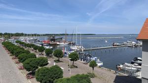 un port de plaisance avec des bateaux garés sur un quai dans l'établissement Eismöwe, à Barth