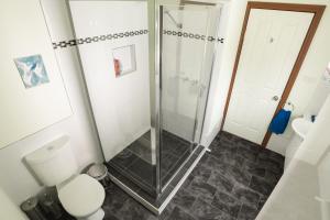 a bathroom with a shower and a toilet at Larus Waterfront Cottage in White Beach