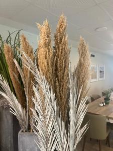 Φωτογραφία από το άλμπουμ του VILSER Gästehaus σε Bruchhausen-Vilsen