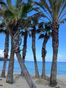 ル・ラヴァンドゥーにあるLe Lavandou St Clairの浜のヤシの木群 +6枚の写真