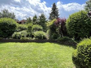a garden with a green yard with bushes and trees at Apartment Jadewind, Humenser 8a in Dangast