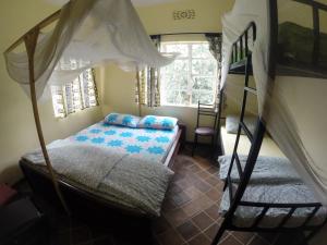a bedroom with a bunk bed and a bunk bed at Coffee Farm Guest House in Nkoaranga