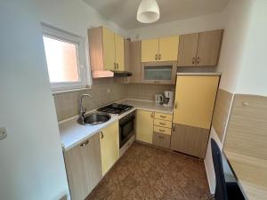 Kuchyň nebo kuchyňský kout v ubytování Apartment Visum
