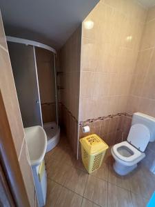 Koupelna v ubytování Apartment Visum