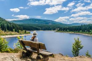 a woman sitting on a bench overlooking a lake at Das Koselige Nest - perfekt für kleine Familien - nah am Bocksberg in Goslar