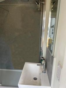 考斯Stylish 1 Bedroom Flat in Heart of Cowes的带水槽、镜子和浴缸的浴室