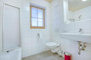 Vannituba majutusasutuses Grünerstein Chalet Jungbrunnen