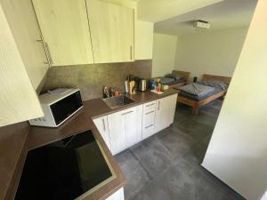 Kuchyň nebo kuchyňský kout v ubytování Ferienregion Andermatt - Studio in Wassen