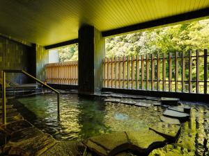 Bazén v ubytování Hakone Pax Yoshino nebo v jeho okolí