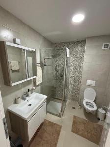 a bathroom with a shower and a sink and a toilet at Elephant Apartments in Banja Koviljača +35 photos