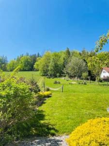Jardín al aire libre en Cudne Manowce
