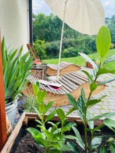 Jardín al aire libre en Cudne Manowce