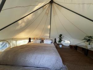 a bedroom with a bed in a tent at The Hidden Gem Viewpoint Camping & Rooms in Ban Nok