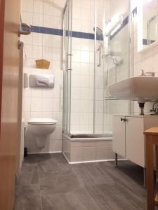 a bathroom with a toilet and a shower and a sink at Studio in It District Neustadt Louisenstraße in Dresden