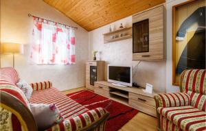 TV a/nebo společenská místnost v ubytování Holiday Home Melnica Iii