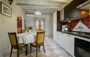 Kuchyň nebo kuchyňský kout v ubytování Holiday Home Melnica Iii