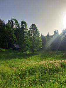 Příroda nedaleko prázdninového domu
