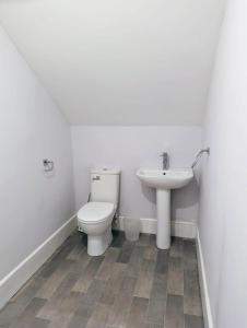 ゲーツヘッドにあるEnjoy 5 Br House Near The Cityのトイレと洗面台を備えた白いバスルーム