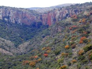 Gallery image of Laluka Inn in Mokopane