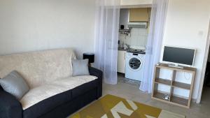 a living room with a couch and a television at Le plein soleil in Ajaccio