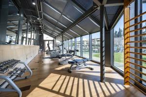 Fitness centrum a/nebo fitness zařízení v ubytování Hotel Nelva