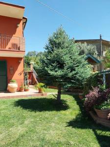 un arbre dans une cour à côté d'une maison dans l'établissement Villa Lucia, à Castelvenere 26 autres photos
