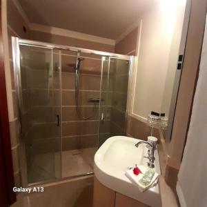 明乔河畔的瓦雷奇奥Casa Magnolia的带淋浴、水槽和淋浴的浴室