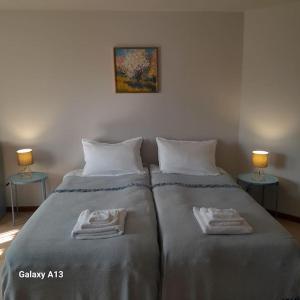 明乔河畔的瓦雷奇奥Casa Magnolia的一间卧室，有两张床，床上有毛巾