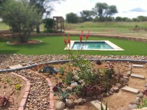 a garden with a swimming pool and some flowers at Bushveld Magic in Klipdrift
